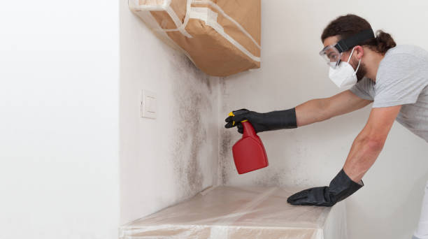 Professional Attic Mold Remediation technician working in Palm Springs, FL