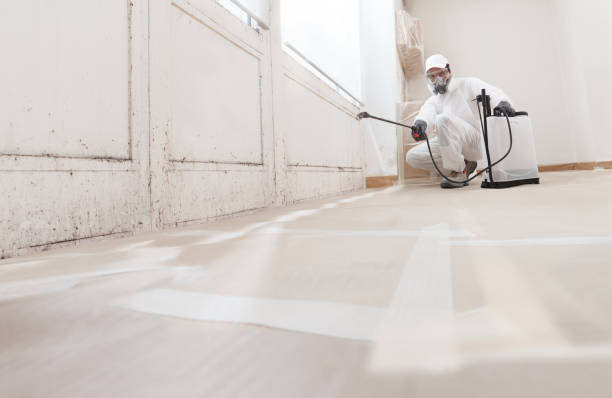 24/7 Emergency Attic Mold Remediation experts in Palm Springs, FL